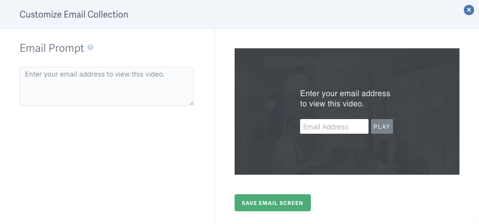 Customize the Lead Capture Form
