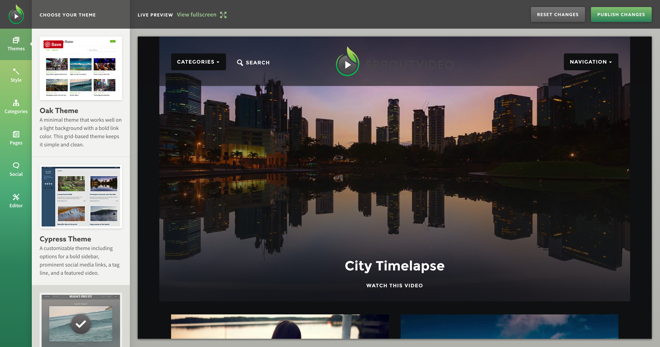 Example of a video website hosted by SproutVideo