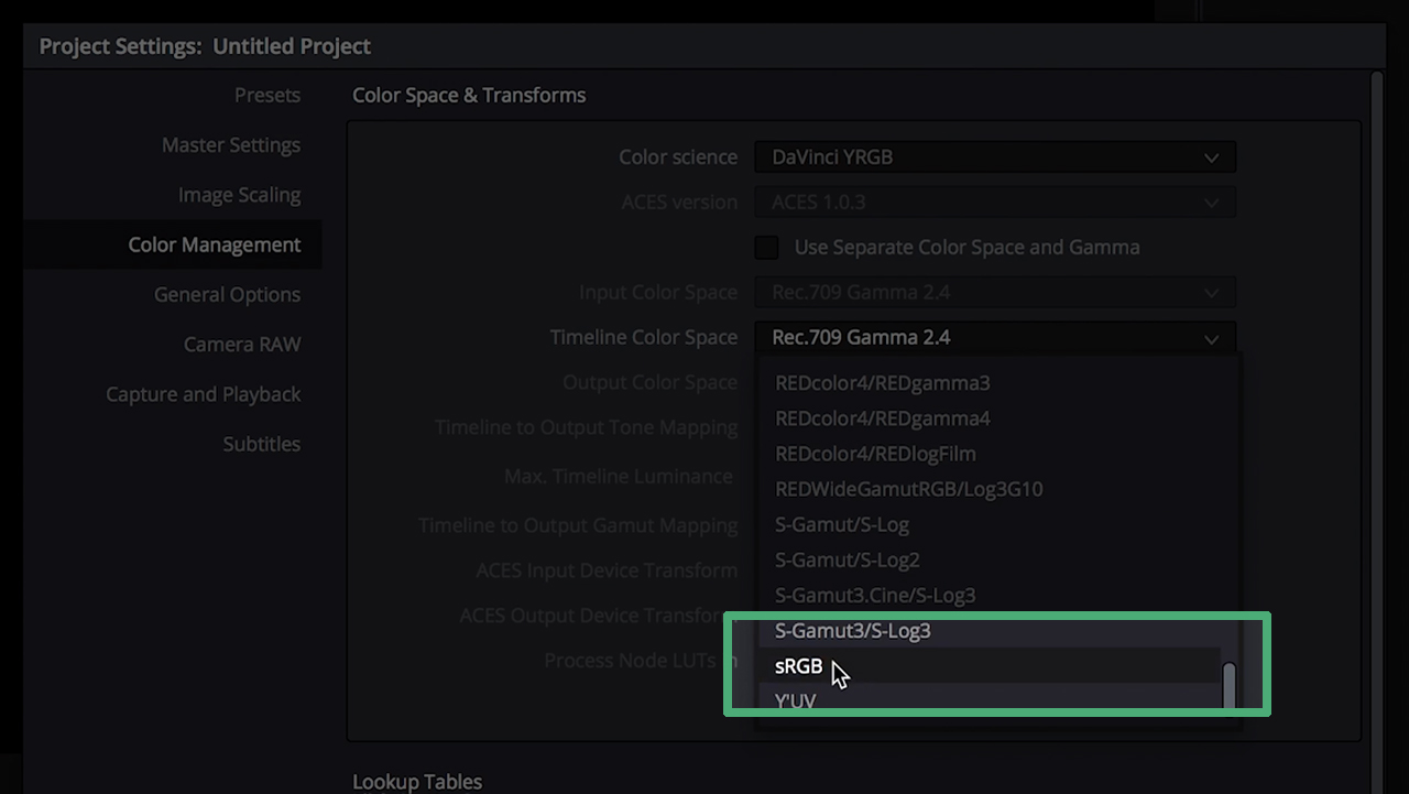 Change Color Settings in DaVinci to sRGB