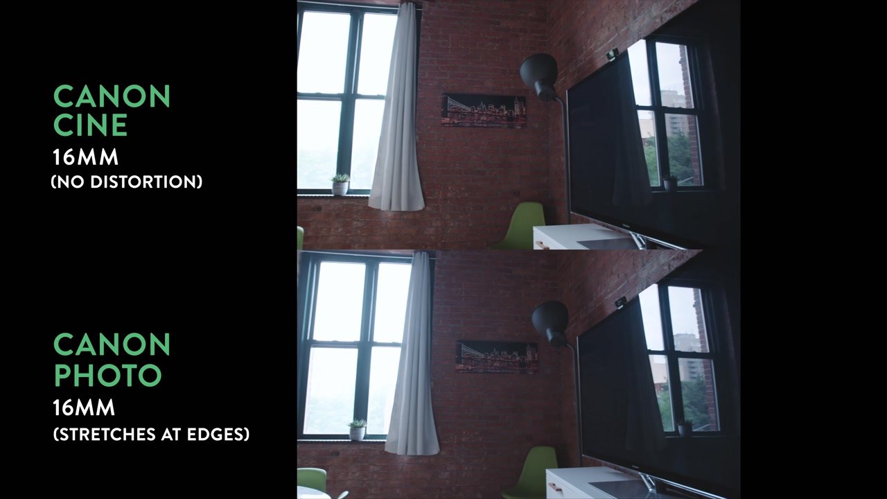 Cannon Cine Vs. Cannon Photo Lenses 